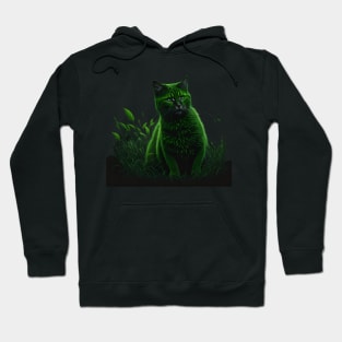 Cat in Green Hoodie